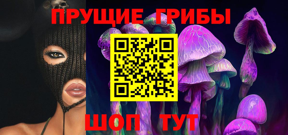 Новокубанск  Галлюциногенные грибы Psilocybine cubensis  Вход с VPN 
